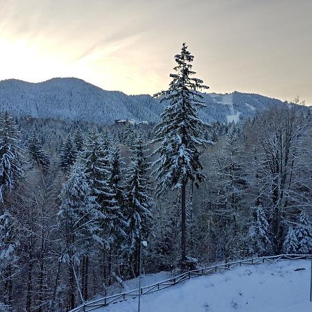Dor Apartment Poiana Brașov Zewnętrze zdjęcie