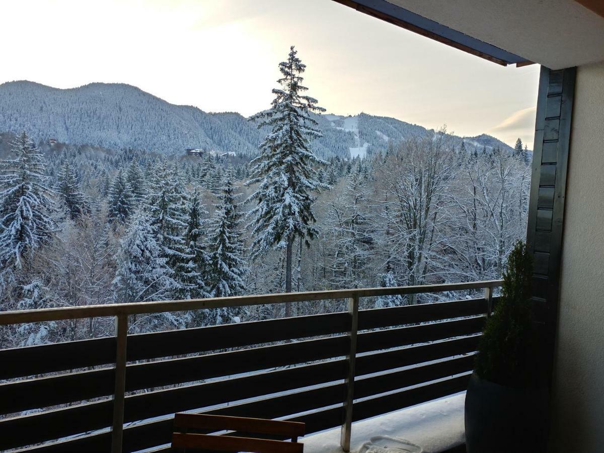 Dor Apartment Poiana Brașov Zewnętrze zdjęcie