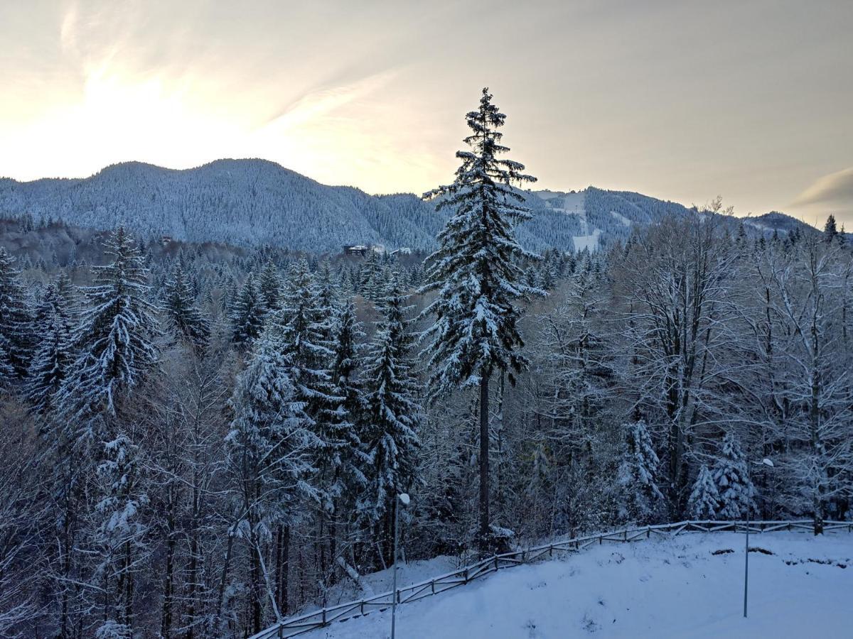 Dor Apartment Poiana Brașov Zewnętrze zdjęcie